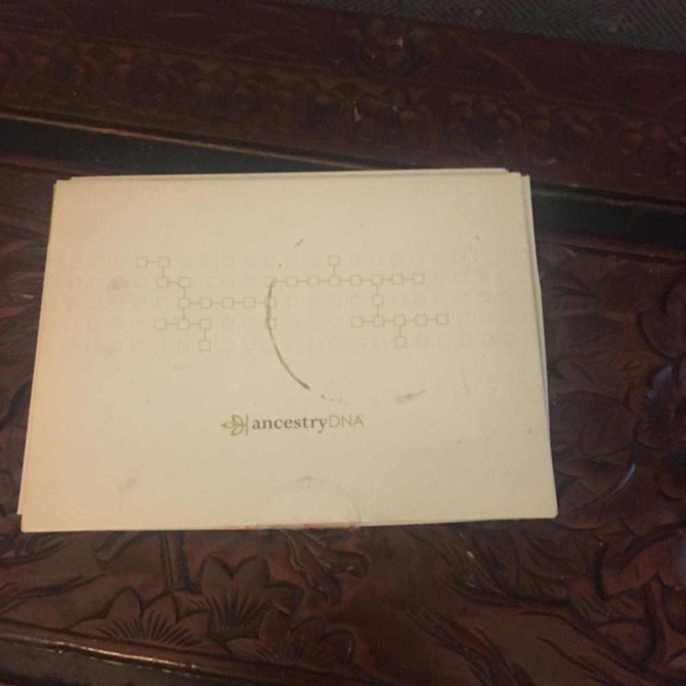 Ancestry DNA kit.